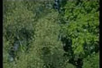 Ръководството на Рено разчита новата Лагуна да изведе компанията напред