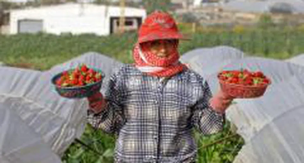 КНСБ търси помощ от британски синдикати за уволнените работници