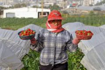 КНСБ търси помощ от британски синдикати за уволнените работници