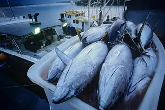 Френските рибари вдигнаха блокадата