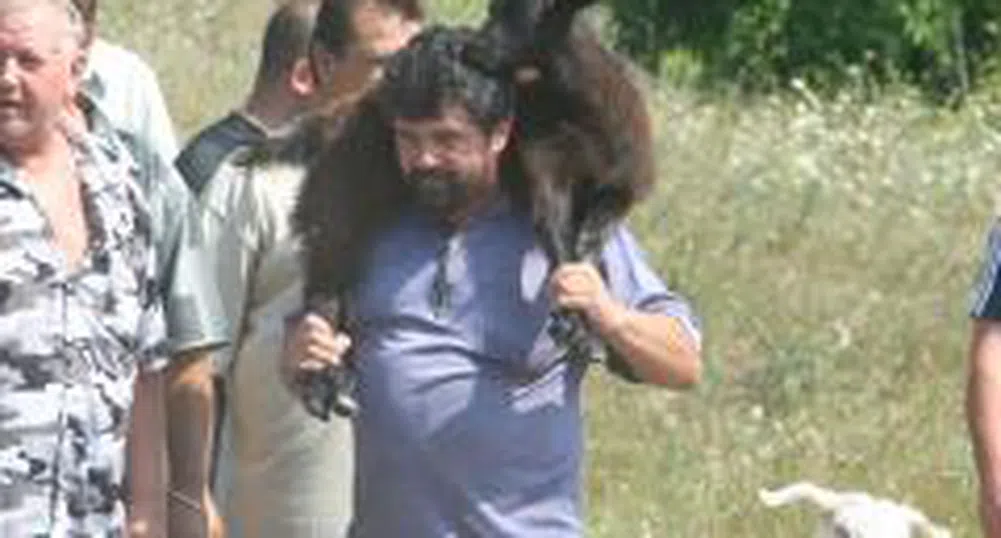 Правителството реши да даде 60 млн. лв. на млекопроизводителите