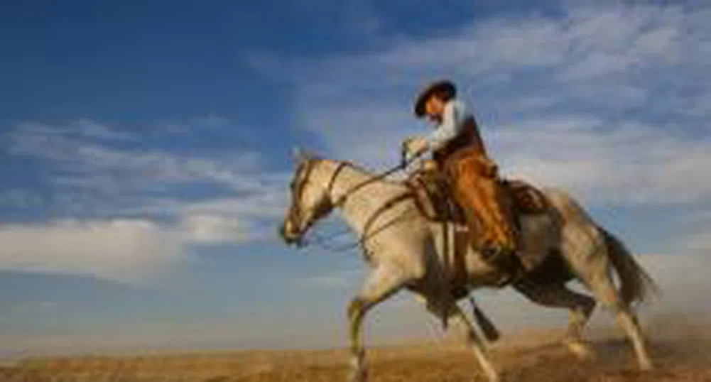 Френски сайт сбъдва мечтите на милиардерите