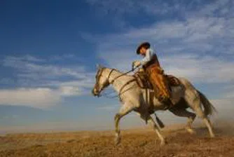 Френски сайт сбъдва мечтите на милиардерите