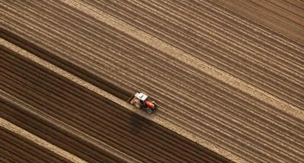 Romanian Farming Land Market Frozen