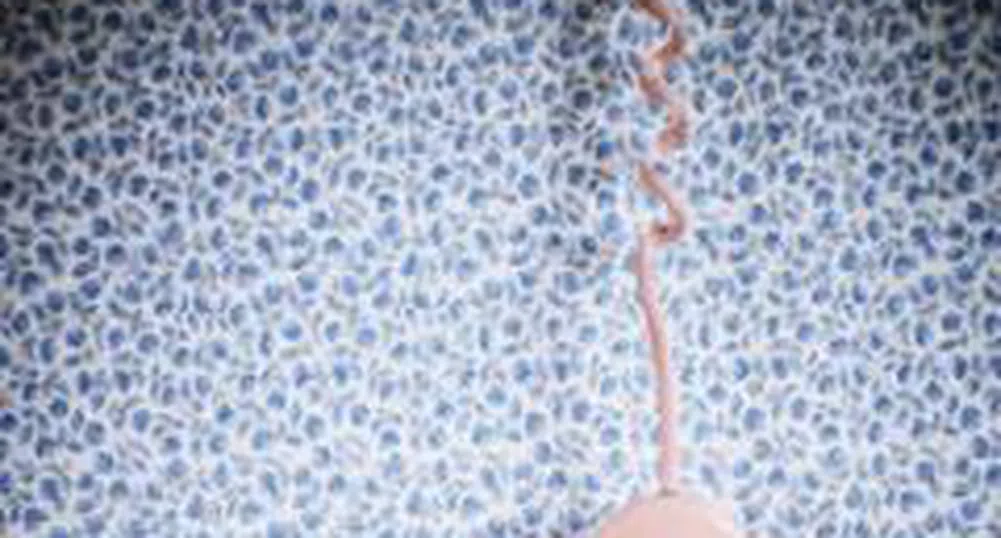 До 2 млн. лв. може да достигне глобата за мобилните оператори