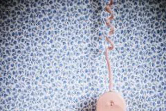 До 2 млн. лв. може да достигне глобата за мобилните оператори