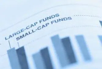 Assets of the Top 10 Bulgarian Collective Investment Schemes Down 6.6% In a Month