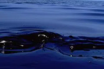 Петролът се търгува на нива от около 142 долара за барел