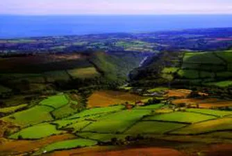 Програмата за развитие на селските райони е застрашена, категорични от ДСБ