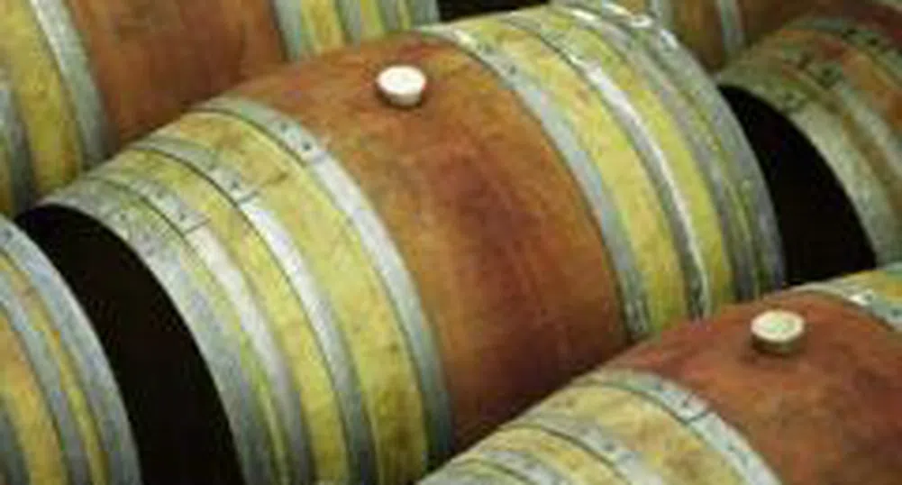 Холдинг Нов Век стана собственик на Винпром Хасково