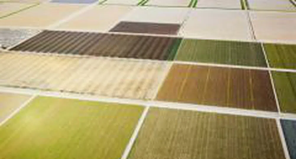 Trade in Rights in Advance Terrafund REIT Starts August 14