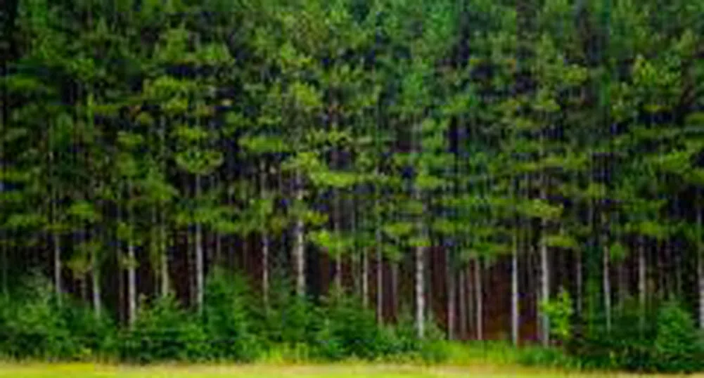 Обсъждат нови 5 защитени зони по НАТУРА 2000