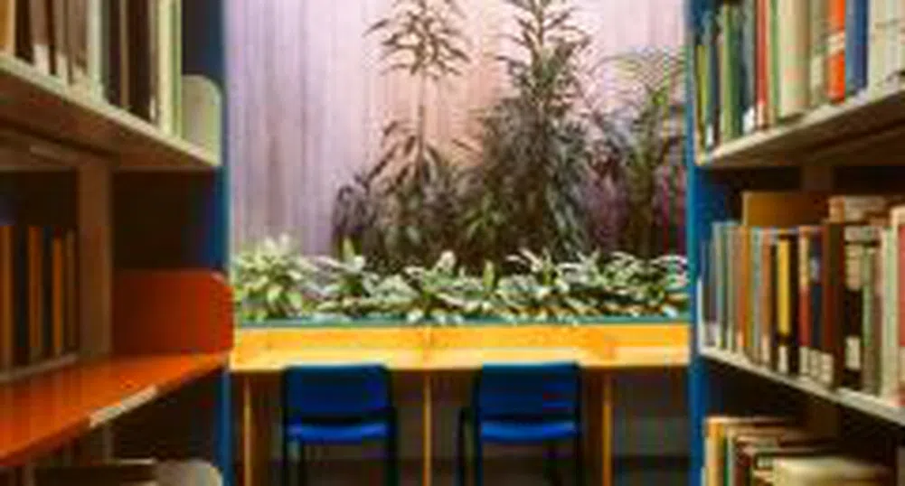 Регионалните библиотеки най-посещавани през 2007 г.