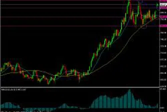 Едномесечни върхове на златото и петрола