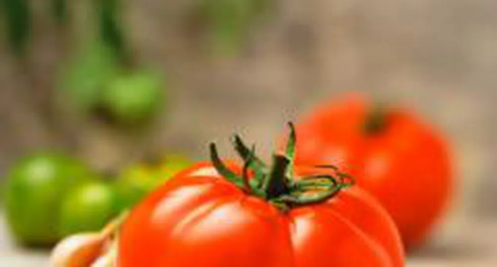 Цигари, зеле, чесън и домати поскъпнаха най-много за периода 2001-2007 г.