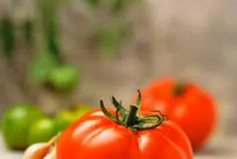 Цигари, зеле, чесън и домати поскъпнаха най-много за периода 2001-2007 г.