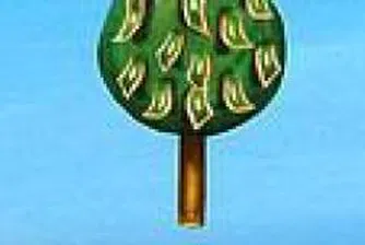 След три години на повишение, активите на полските фондове спряха ръста си