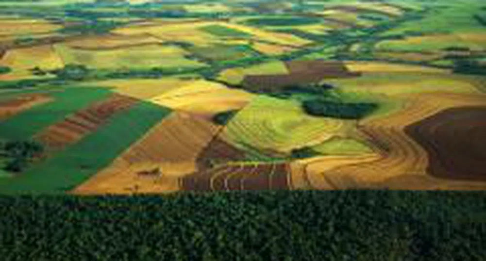 Agroenergy REIT Plans to Raise 20 Million Leva Through Stock Exchange Listing