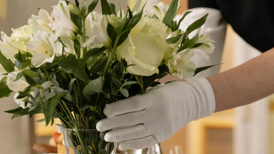 Война за таланти в грижата за дома – или колко печелят домашните помощници в Палм Бийч