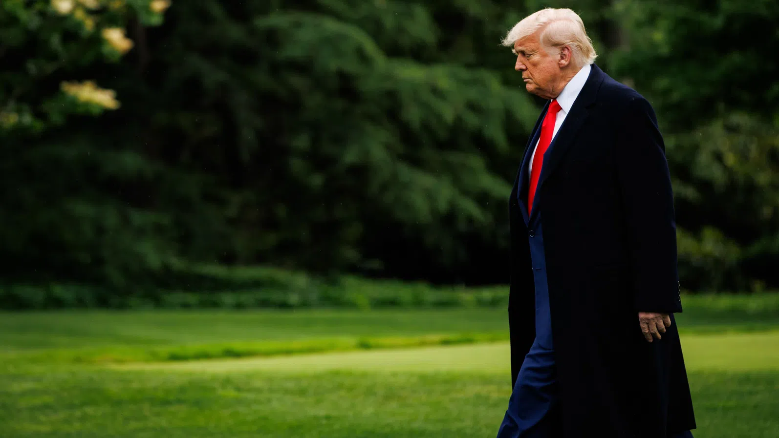 Робърт Райх: Скъпи съюзници на САЩ, моля ви, не бъркайте нашия президент с нас