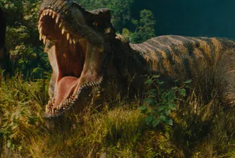 Филмовата индустрия се възстановява добре след пандемията, но е рано да отваряме шампанското, предупреждават експерти