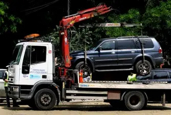 Бургазлии намериха цаката на паяка