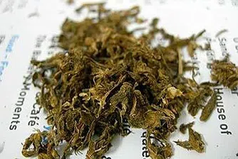 Хлебарница получи близо 300 кг марихуана