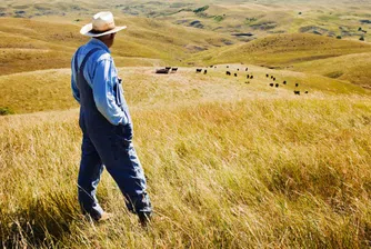 Най-големите частни собственици на земя в САЩ