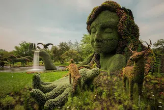 Уникални скулптури от растения в Монреал