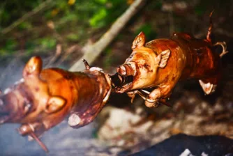 Печеното прасенце колкото екскурзия