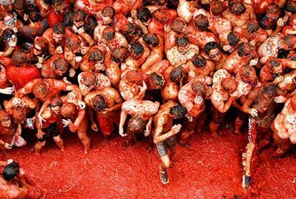 Над 110 тона домати унищожени в традиционната Томатина