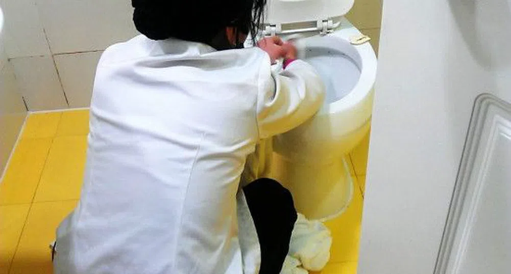 Камериерка чисти тоалетната с кърпите за лице (видео)