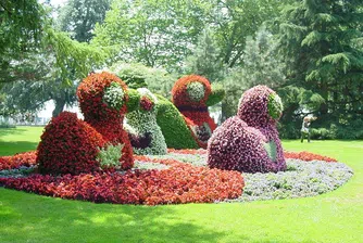 Майнау - Островът на цветята