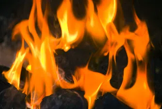 Поне с 10% ще поскъпват дървата и въглищата