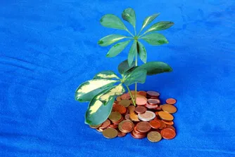 Холандия се чуди как да се избави от статута си на данъчен рай