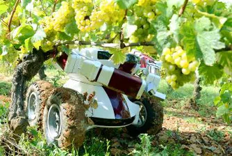 Роботът лозар