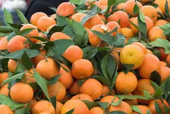Агенцията за храните на лов за оцветени мандарини