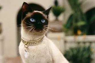 Богатите наследници- животни: от Ришельо до Майкъл Джексън