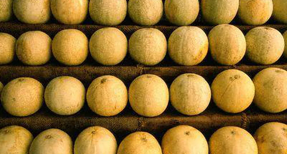 Пъпешите гонят стреса