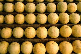 Пъпешите гонят стреса