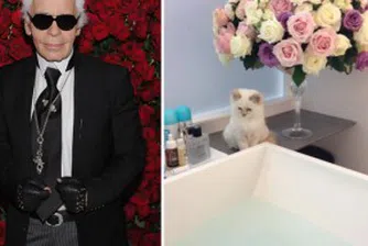 Лагерфелд и неговата любов към котките