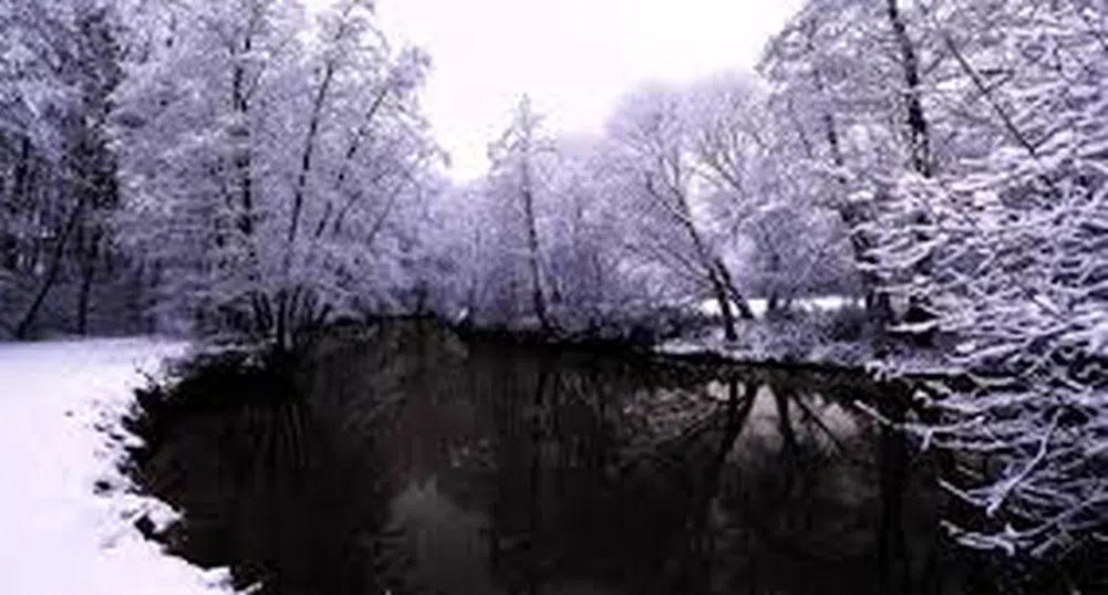 -41.2 градуса измериха в Швеция