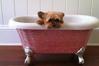 Къде в интернет пазаруват най-богатите?