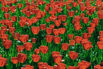 Кратка история на икономическите кризи