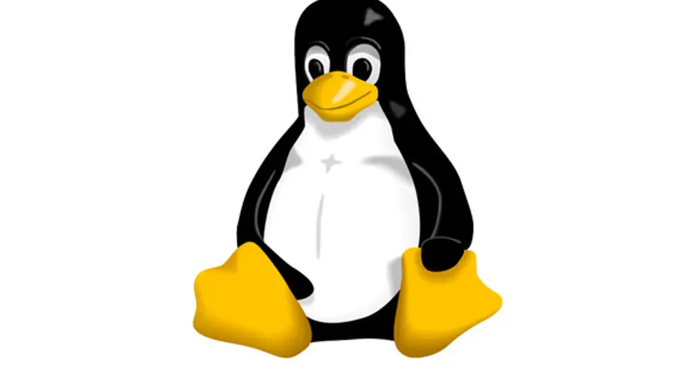 12 неочаквани неща, които работят на Linux