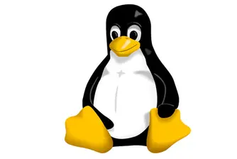 12 неочаквани неща, които работят на Linux