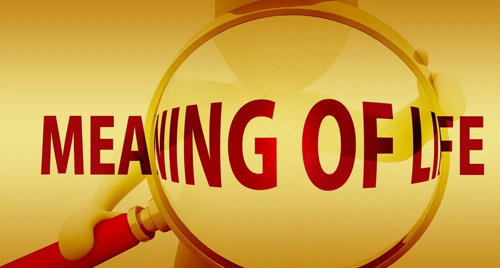 6 на пръв поглед „глупави“ въпроса