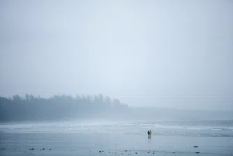 Поройни дъждове наводниха карловско село