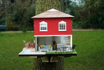 Къщичка за птици с фитнес и басейн