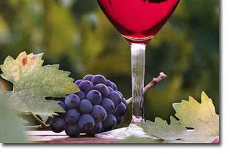 Рязък спад на износа на френско вино